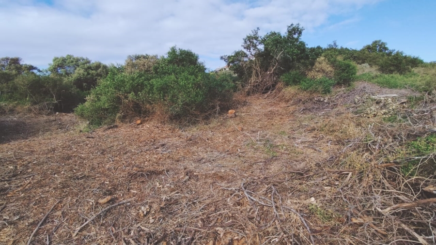 Commercial Property for Sale in Paradise Beach Eastern Cape
